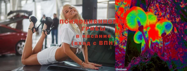 PSILOCYBIN Новодвинск