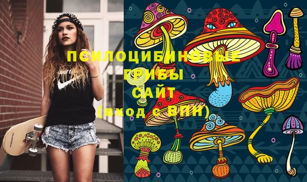 таблы Новокубанск