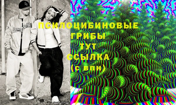 PSILOCYBIN Новодвинск