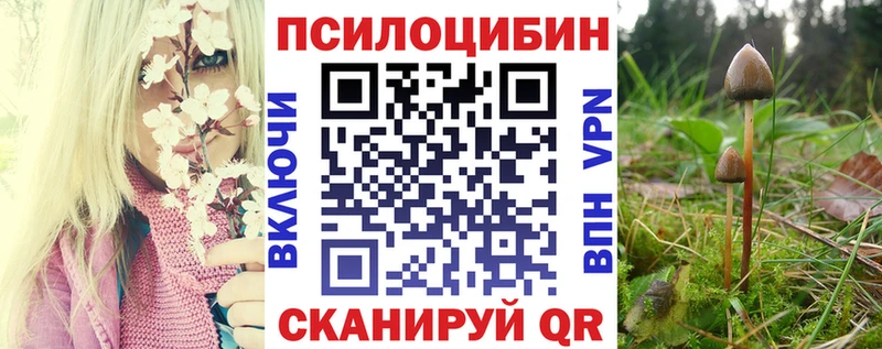 Псилоцибиновые грибы GOLDEN TEACHER  Иннополис 
